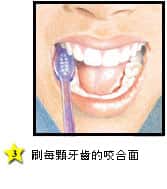 如何清潔牙齒咬合面 - 高露潔台灣