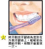 如何清潔牙齦線 - 高露潔台灣