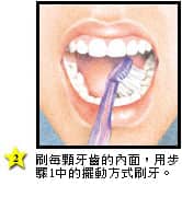 如何清潔牙齒內側 - 高露潔台灣